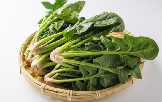 [담아온] 해풍맞아 신선하고 달달한 남해 보물초 시금치